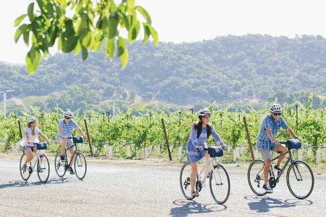 Half-Day Napa Valley E-Bike Tour - Booking and Meeting Information