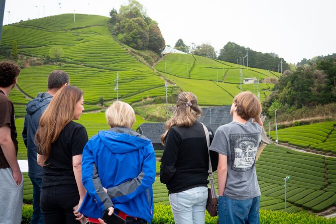 Half Day Nara and Matcha Farm Private Van Tour - Meeting and Pickup Details