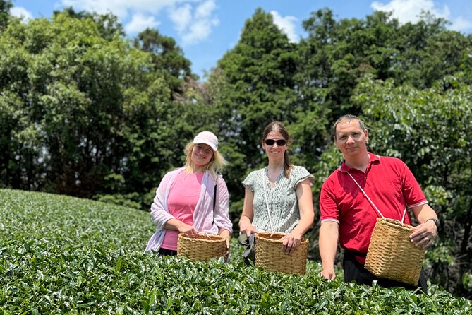 Half Day Nara and Matcha Farm Private Van Tour - Accessibility and Participation
