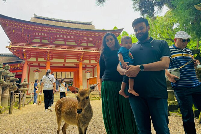Half Day Nara and Matcha Farm Private Van Tour - Taking in the Matcha Tea Experience