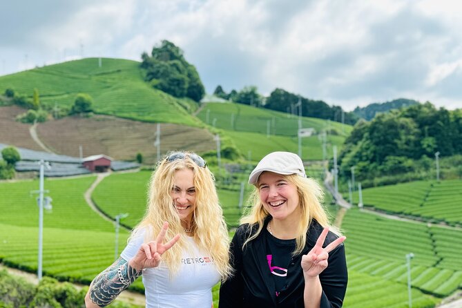Half Day Nara and Matcha Farm Private Van Tour - What to Expect on the Tour