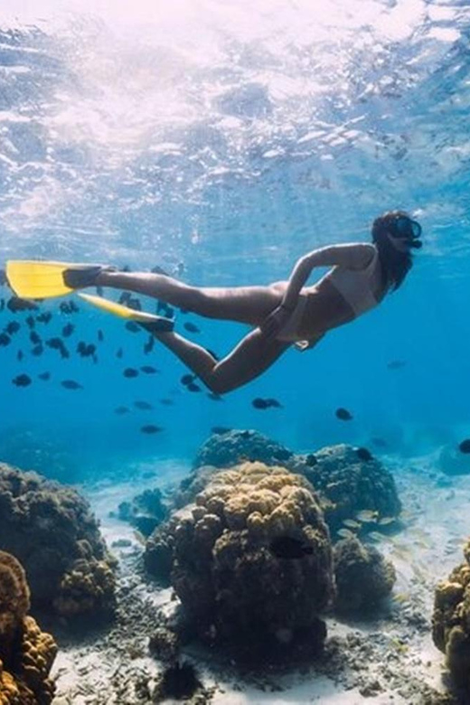 Half-Day Nassau Getaway: Rose Island Snorkeling & Turtle - Key Points