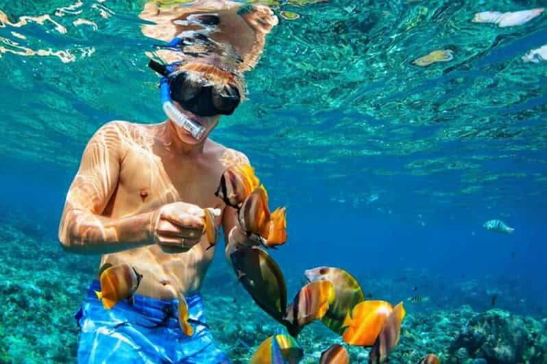 Half-Day Nassau Getaway: Rose Island Snorkeling & Turtle - Included Amenities