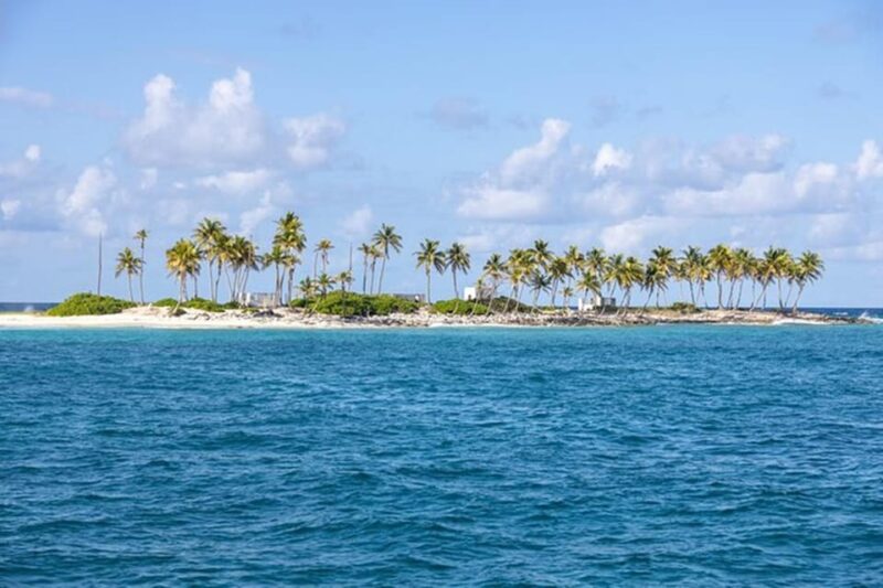 Half-Day Nassau Getaway: Rose Island Snorkeling & Turtle - Swim With Pigs and Turtles