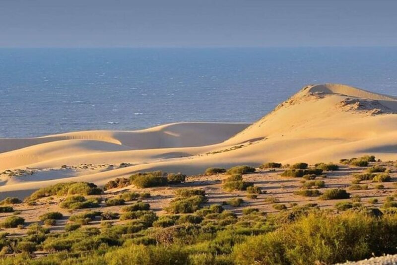 Half-Day National Park And Desert Experience With Lunch - Wildlife and Park Details