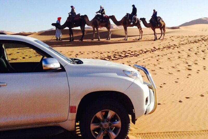 Half-Day National Park And Desert Experience With Lunch - Experience Highlights