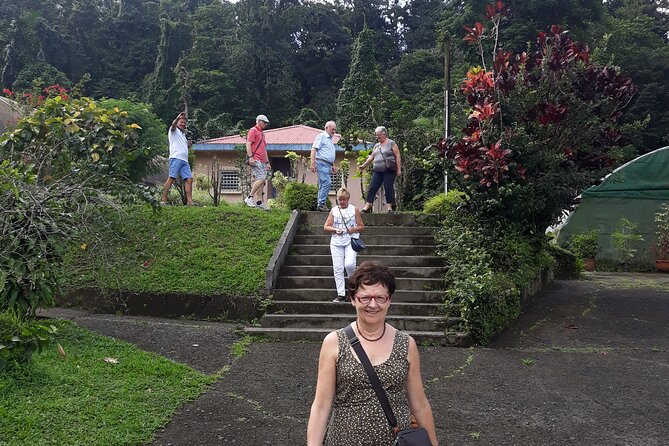 Half-Day Nature and Panorama Tour in Martinique - Meeting and Departure