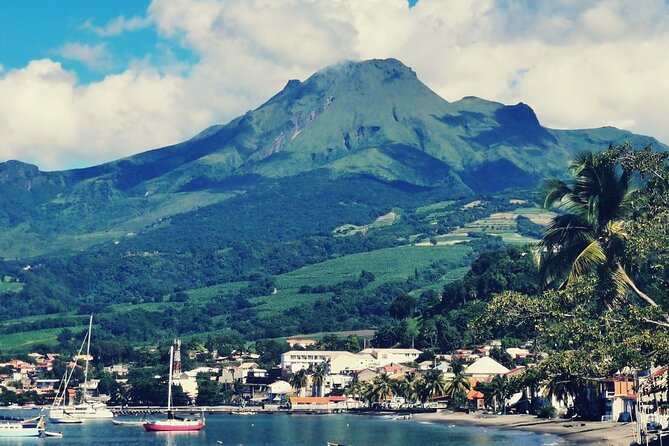 Half-Day Nature and Panorama Tour in Martinique - Tour Logistics