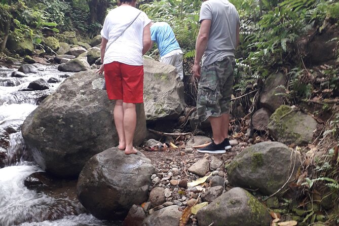 Half-Day Nature and Panorama Tour in Martinique - Booking Information