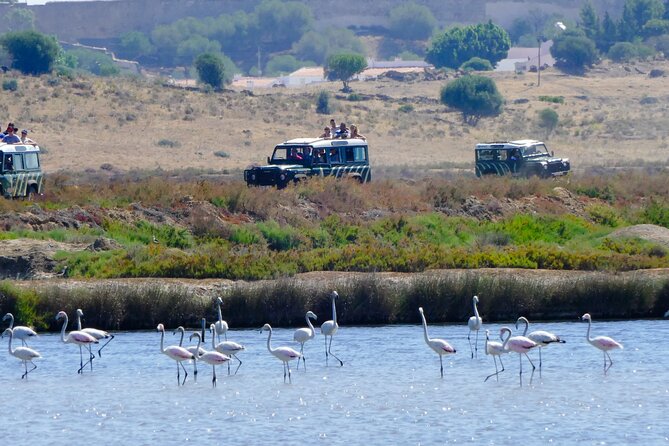 Half-Day Nature Safari in the Algarve - About Your Stay