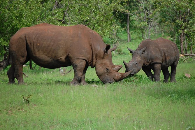 Half-Day Nature Walk in Mosi-Oa-Tunya National Park From Livingstone - Included in the Nature Walk Package