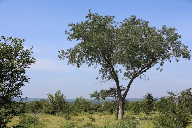 Half-Day Nature Walk in Mosi-Oa-Tunya National Park From Livingstone - Preparing for the Nature Walk