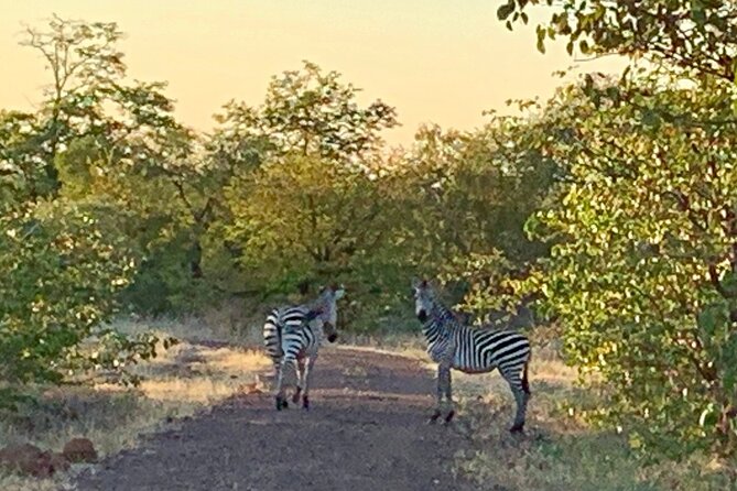 Half-Day Nature Walk in Mosi-Oa-Tunya National Park From Livingstone - Pricing and Booking Information