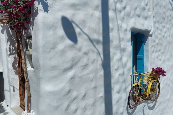 Half-Day Naxos Old Town, Castle and Apollo Temple Private Tour - Temple of Apollo Ruins