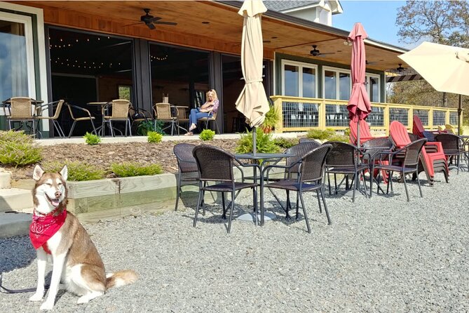 Half-Day North Georgia Wine Country Tour From Atlanta - Ratings and Feedback