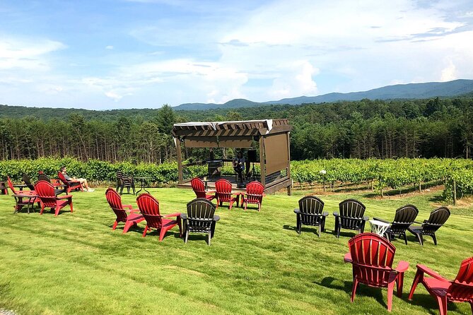 Half-Day North Georgia Wine Country Tour From Atlanta - Mixed Reviews