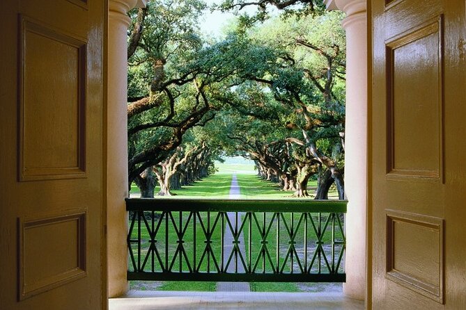 Half-Day Oak Alley Plantation Tour in Vacherie - Transportation and Logistics