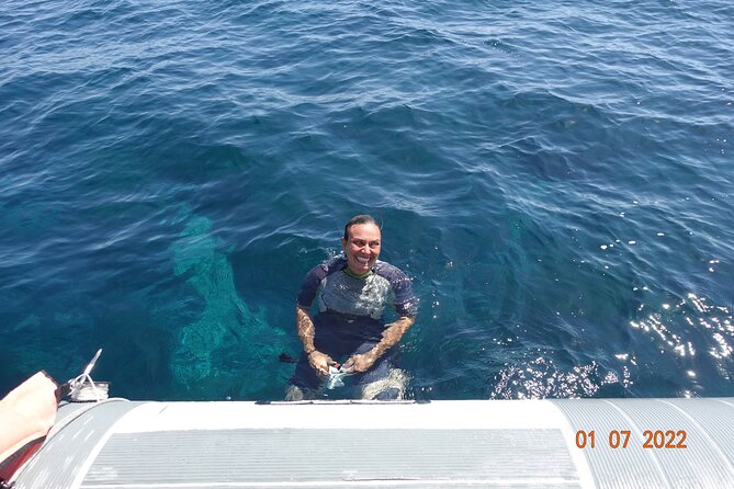 Half Day of Snorkeling and a Swim on Elba Island - About Your Stay