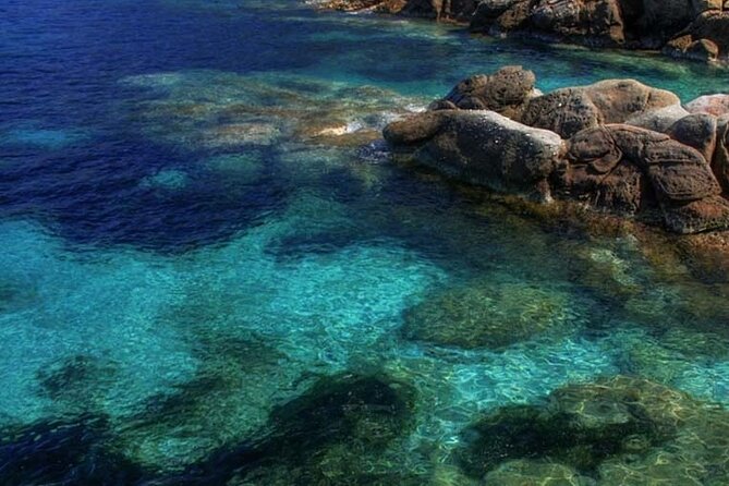 Half Day of Snorkeling and a Swim on Elba Island - Inclusions and Amenities
