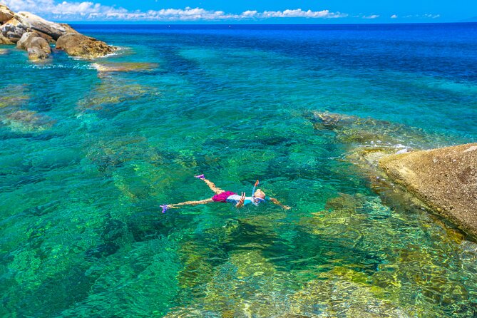 Half Day of Snorkeling and a Swim on Elba Island - Accessibility and Participation