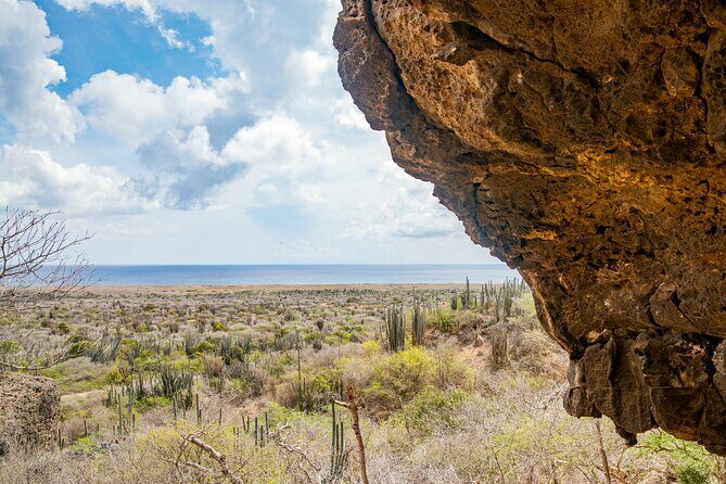 Half Day Off-Road & Snorkel Safari - Authentic Experiences & Real Traveler Feedback