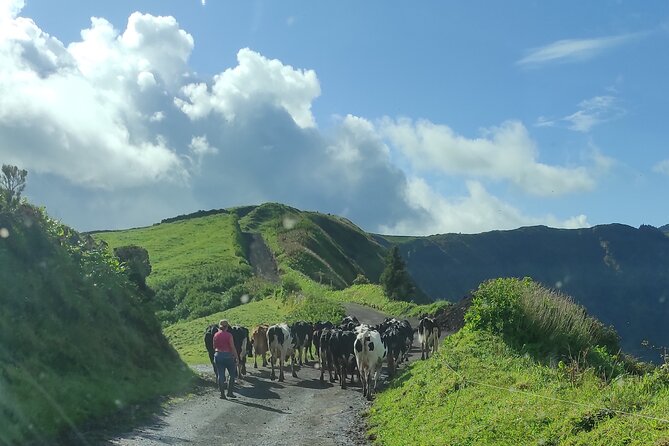 Half Day Off Road Tour in Azores - Tour Pricing