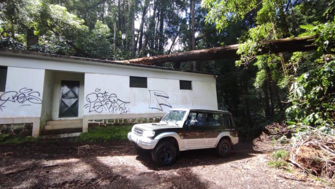 Half Day Off-Road Tour on the West of São Miguel - Languages and Group Options