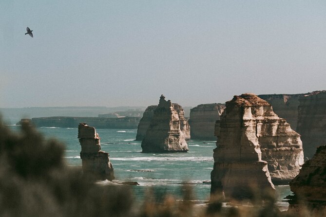 Half-Day or Full-Day Tour With Private Guide From Melbourne - Accessibility and Additional Information