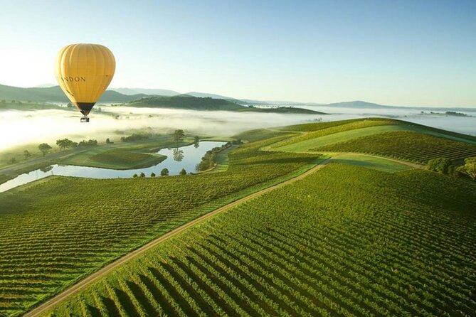 Half-Day or Full-Day Tour With Private Guide From Melbourne - Customization and Flexibility