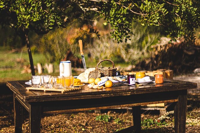 Half-Day-Orange Picking &Jam Cooking/Lunch With the Orange Farmer - Immersive Local Traditions