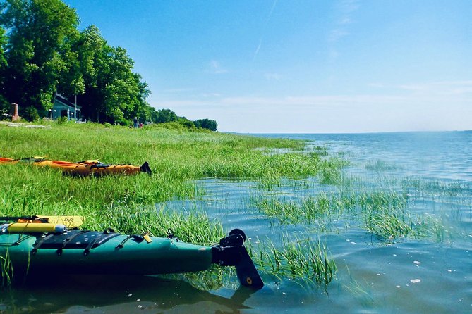Half-Day Orleans Island Small-Group Sea Kayaking Tour - Inclusions