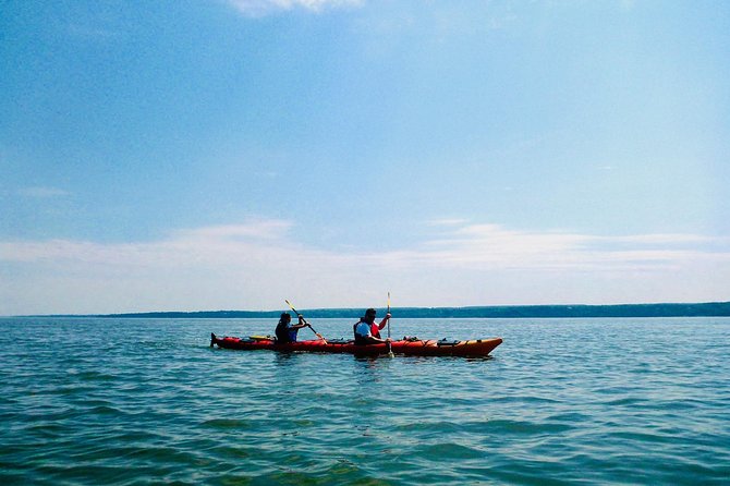 Half-Day Orleans Island Small-Group Sea Kayaking Tour - Meeting and End Point