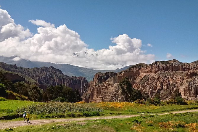 Half Day ( PALCA CANYON) The Grand La Paz City Canyon - Health and Accessibility