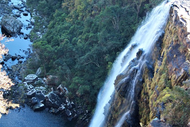 Half Day Panorama Guided Tour - Reviews