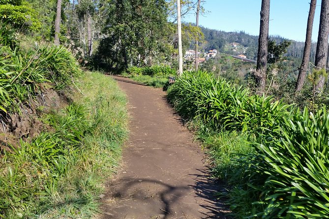 Half-Day Paradise Valley Walking Tour - Key Points