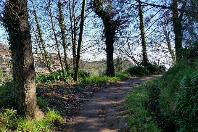 Half-Day Paradise Valley Walking Tour - Inclusions