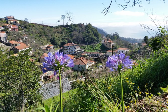 Half-Day Paradise Valley Walking Tour - Reviews