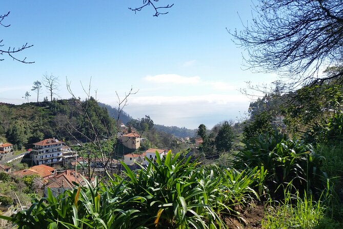 Half-Day Paradise Valley Walking Tour - Getting to Rochão