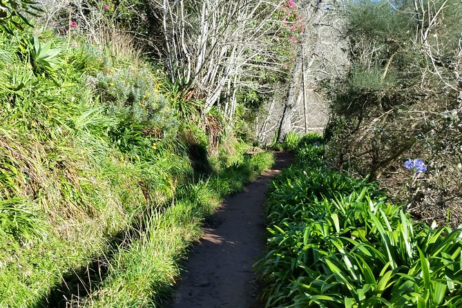 Half-Day Paradise Valley Walking Tour - Exploring Local Traditions