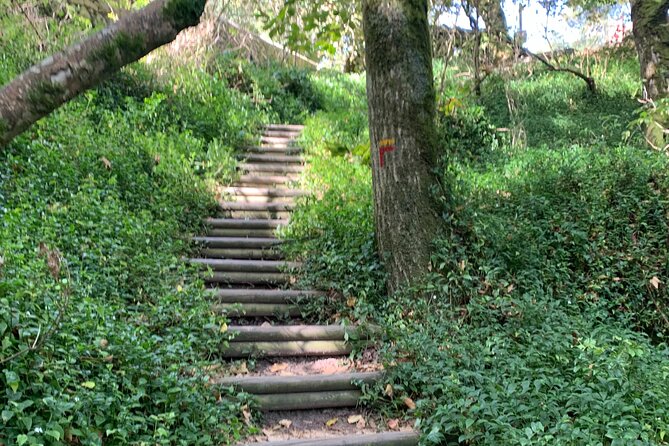 Half Day Park and Pena Palace and Sintra Village Private Tour - Pickup Points