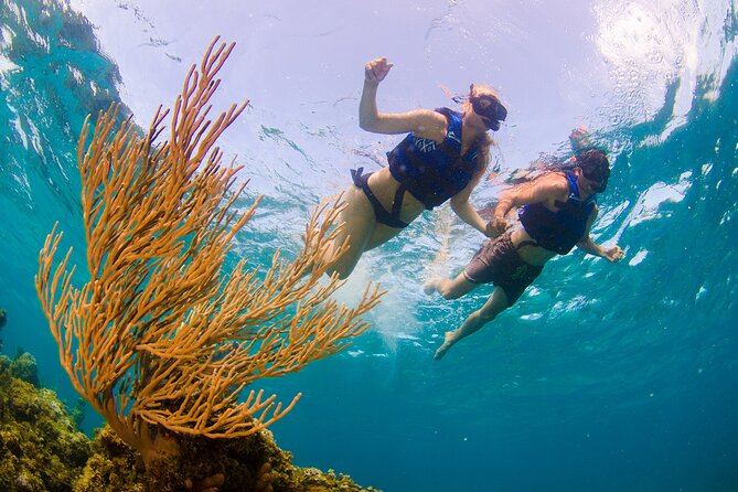 Half Day Party Boat and Snorkeling in Punta Cana - Snorkeling Adventure