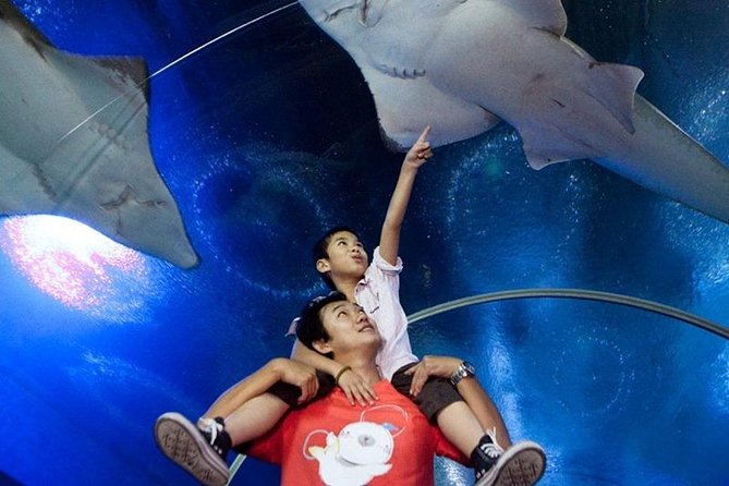 Half Day Pattaya Floating Market and Underwater World Pattaya Combo - Review Highlights