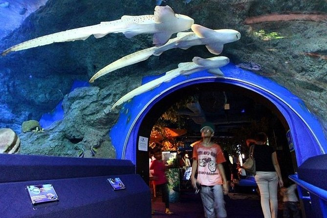Half Day Pattaya Floating Market and Underwater World Pattaya Combo - Underwater World Pattaya