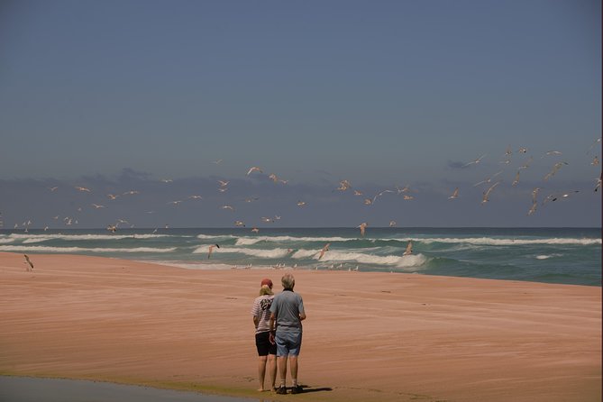 Half-Day Pemberton National Parks Beach and Forest Eco Adventure - Meeting Point and Directions