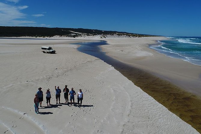Half-Day Pemberton National Parks Beach and Forest Eco Adventure - Exploring Karri Forests