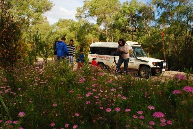 Half-Day Pemberton National Parks Beach and Forest Eco Adventure - Sand Dunes and Lakes