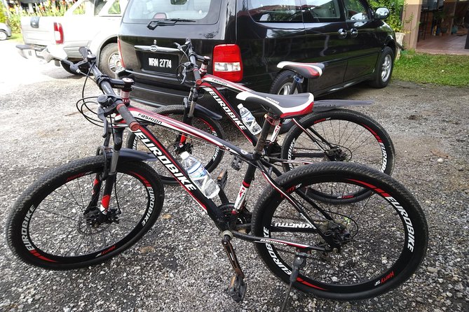 Half-Day Penang Countryside Cycling Tour - Pickup Locations and Start Time