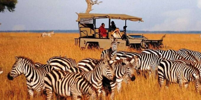 Half Day Phezulu Safari Park & Mandela Capture Ste Fr Durban - Frequently Asked Questions