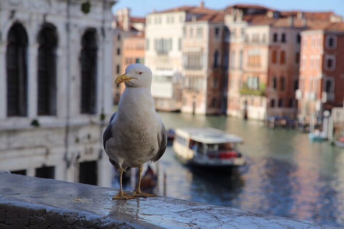 Half Day Photography Workshop in the Magical Venice - Exploring Venices Charm