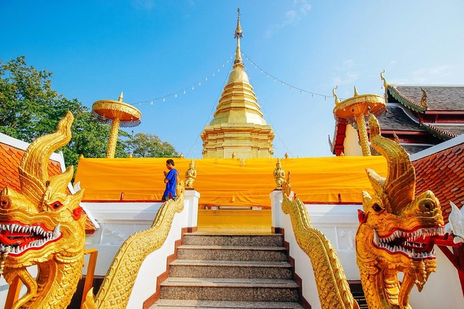 Half Day Phra That Doi Kham Temple and Royal Park Rajapruek (Private Tour) - Reviews and Feedback